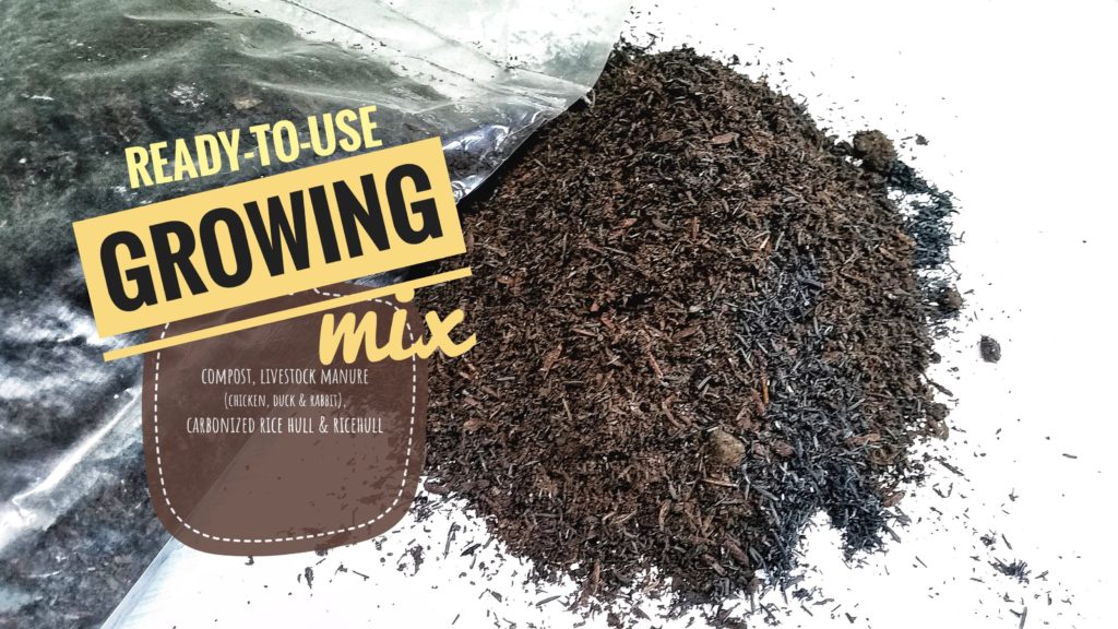 Growing Mix Soil